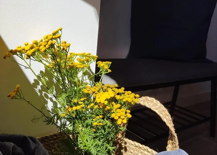 El Pinche * Quincoces de Yuso